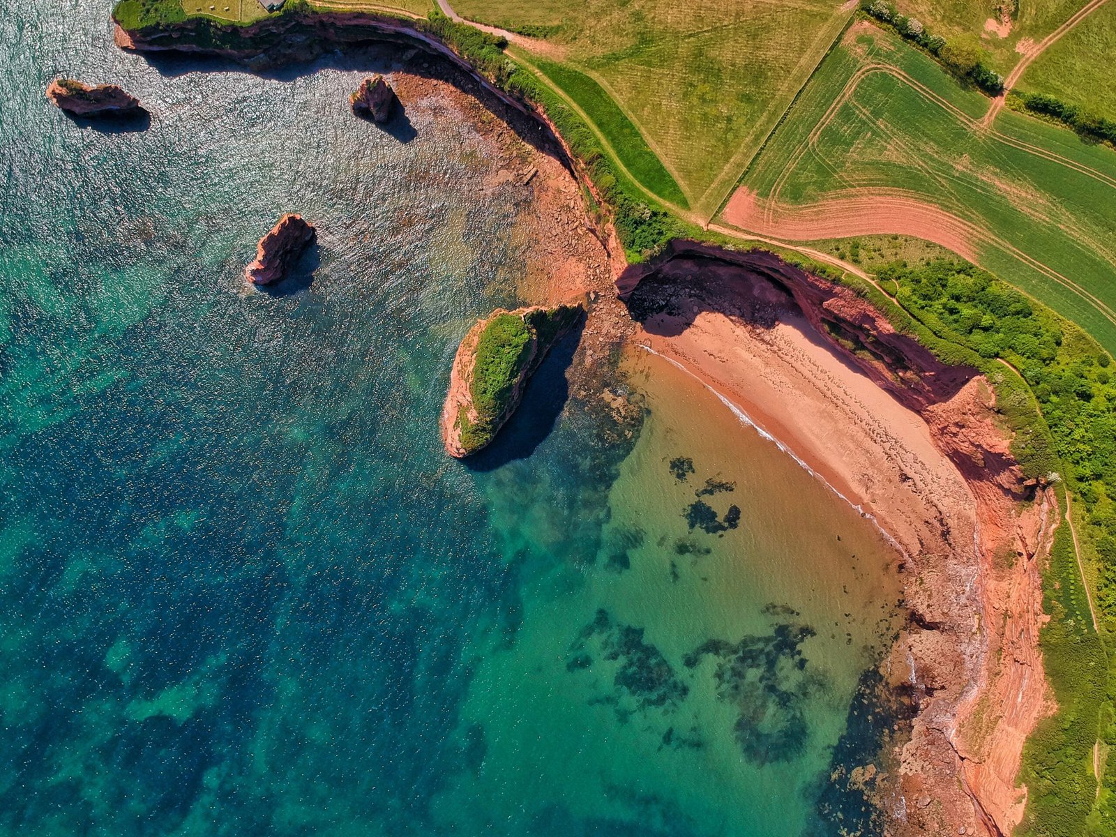 devon cliffs