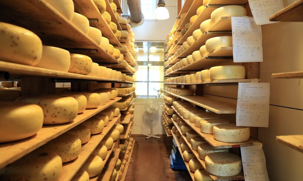 keju gruyere